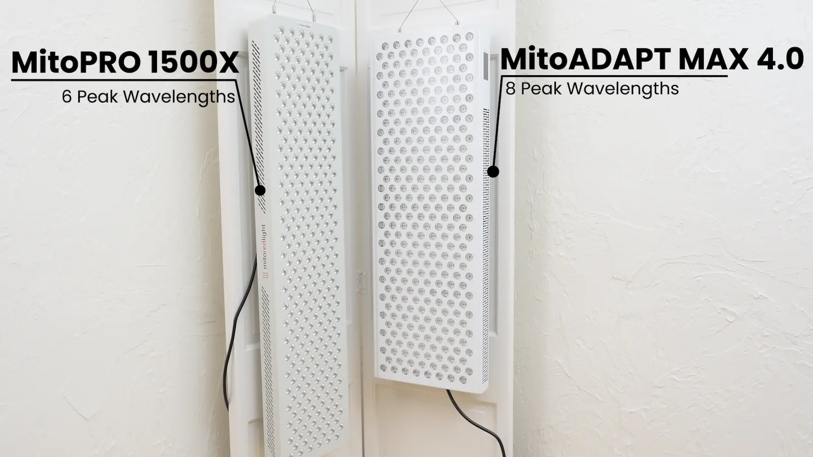 MitoPRO 1500X vs MitoADAPT MAX 4.0: Which Should You Buy? mitoadaptmaxvsmitopro1500x
